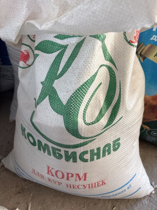 корм для кур несушек