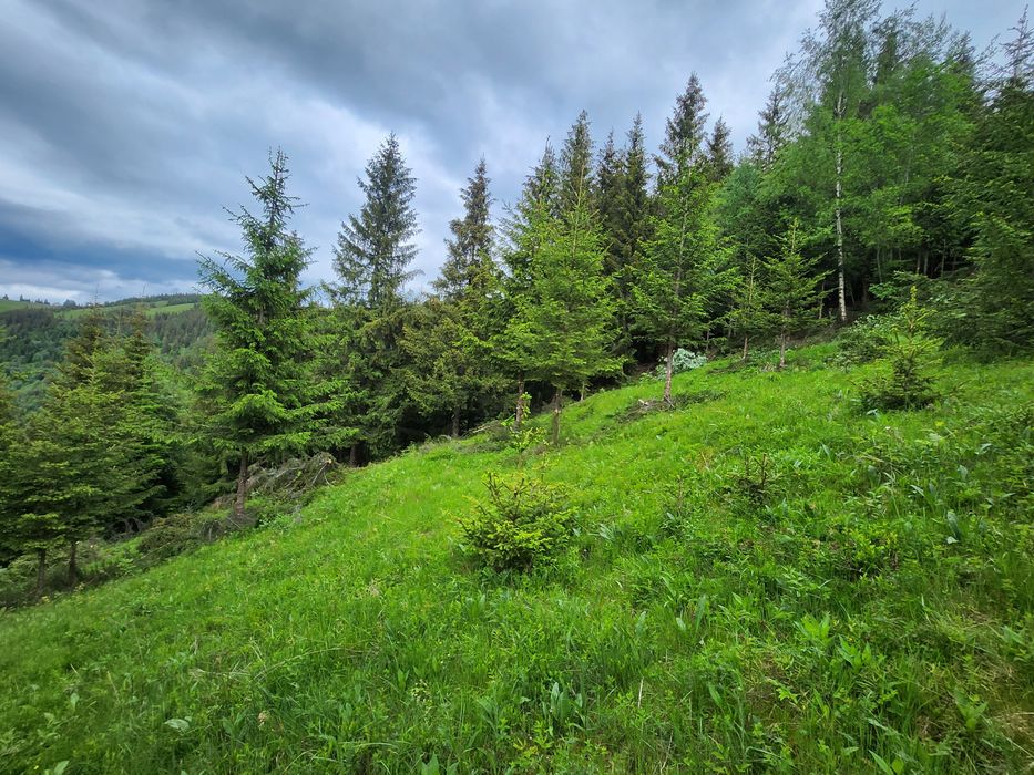 Vand teren  Maguri Racatau