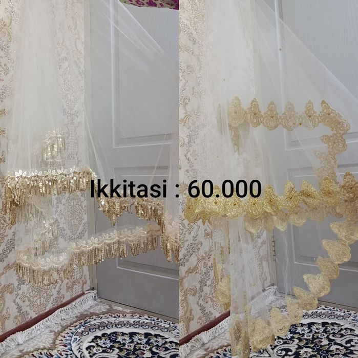 Koylak  kelincha