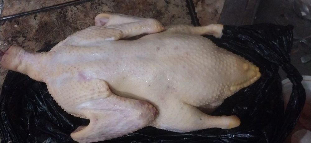 Продаются очень экологически чистые курочки,индюшки,индоутки,перепёлки