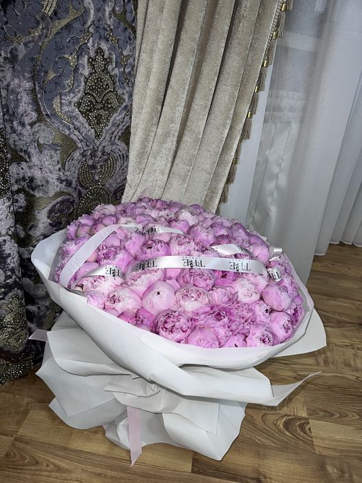 Пионы 101 штук продам срочно
