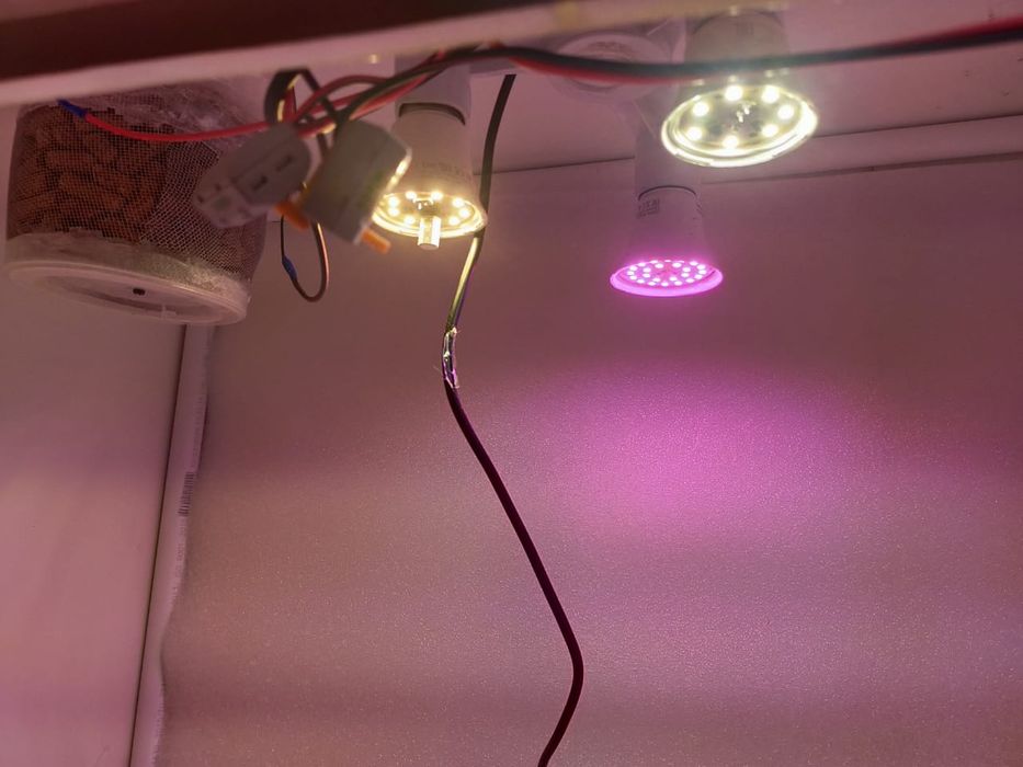 Продам гроу бокс (grow box)