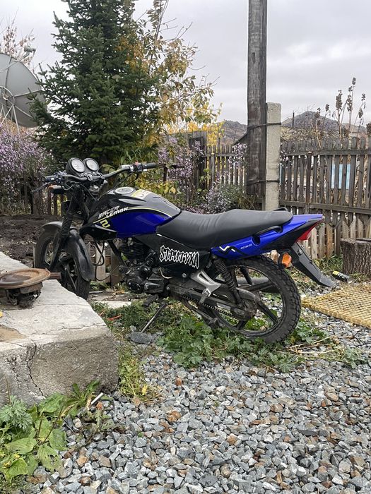 рейсер тигр 150 кубов на полном ходу