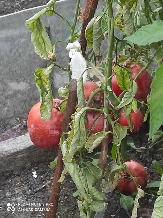 Продам земельный участок