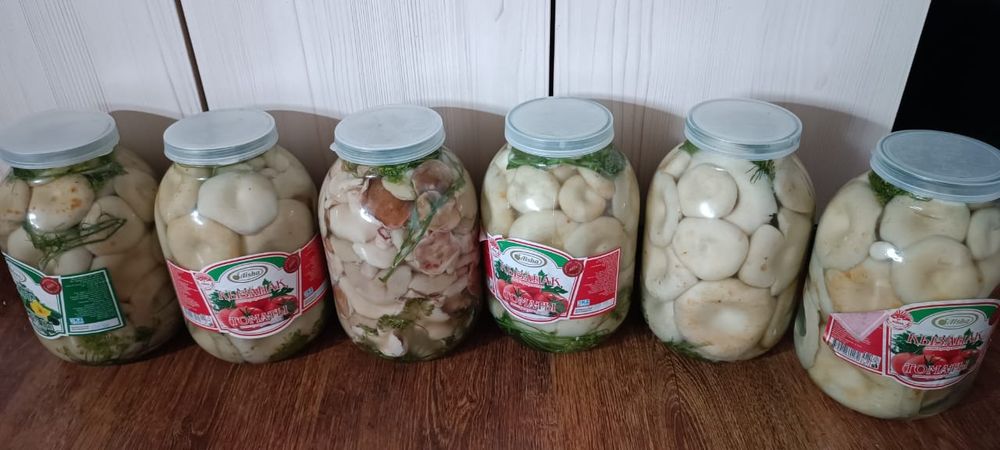 Грибы Грузди солёные.