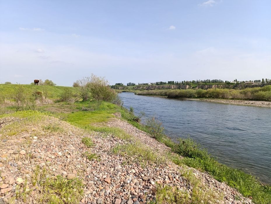 4 гектар жой сотилади. Дарё буйида. Ташмореда