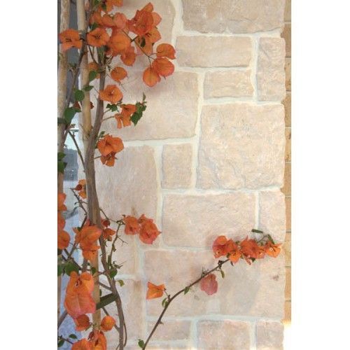 Piatra naturala decorativa/placaj piatra exterior/Placaj Rock Face Alb