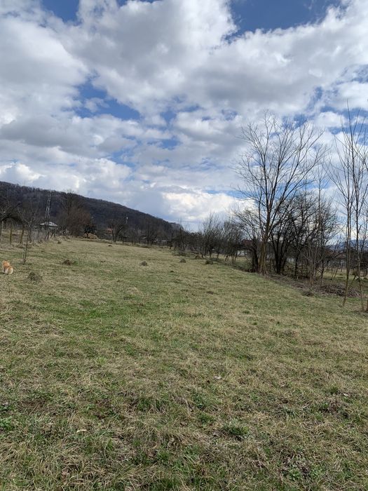 Teren de vânzare Aluniș (2419 mp.)