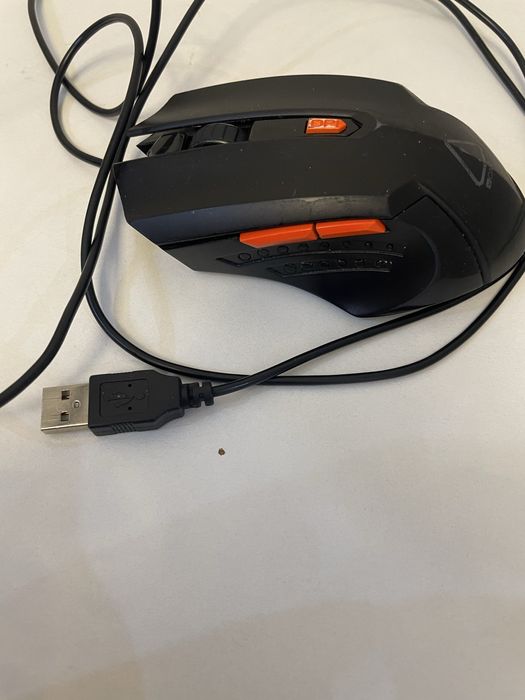 Canyon мышка новая