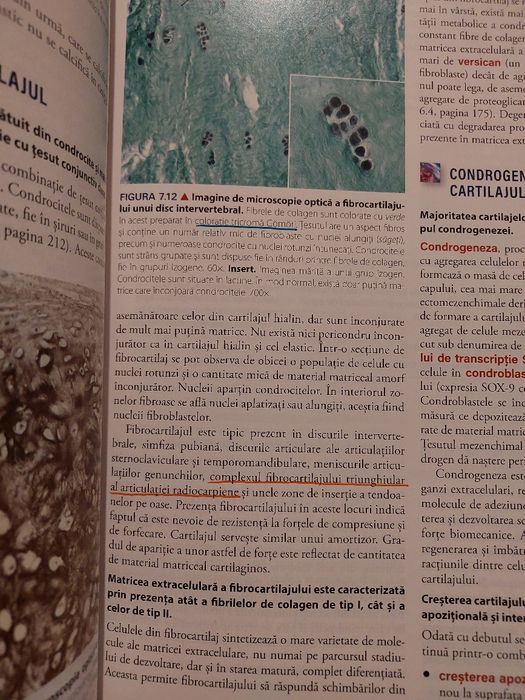Atlas Histologie Ross
