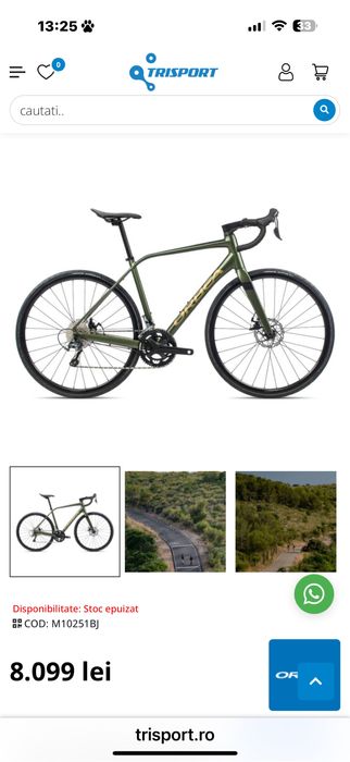 Cursiera orbea furca carbon