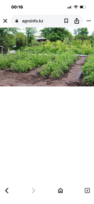 Продам дач участок 10соток телецентр