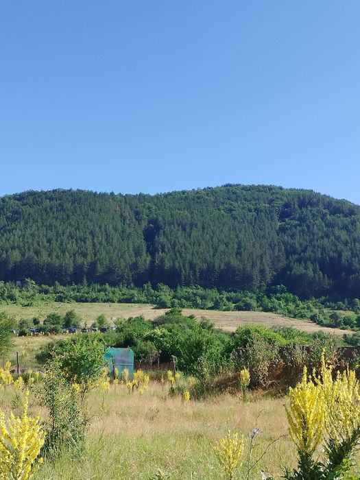 Продава се Парцел в с. Долни Пасарел, Област София-град - 2800 кв.м за 97 €/кв.м - Снимка #1