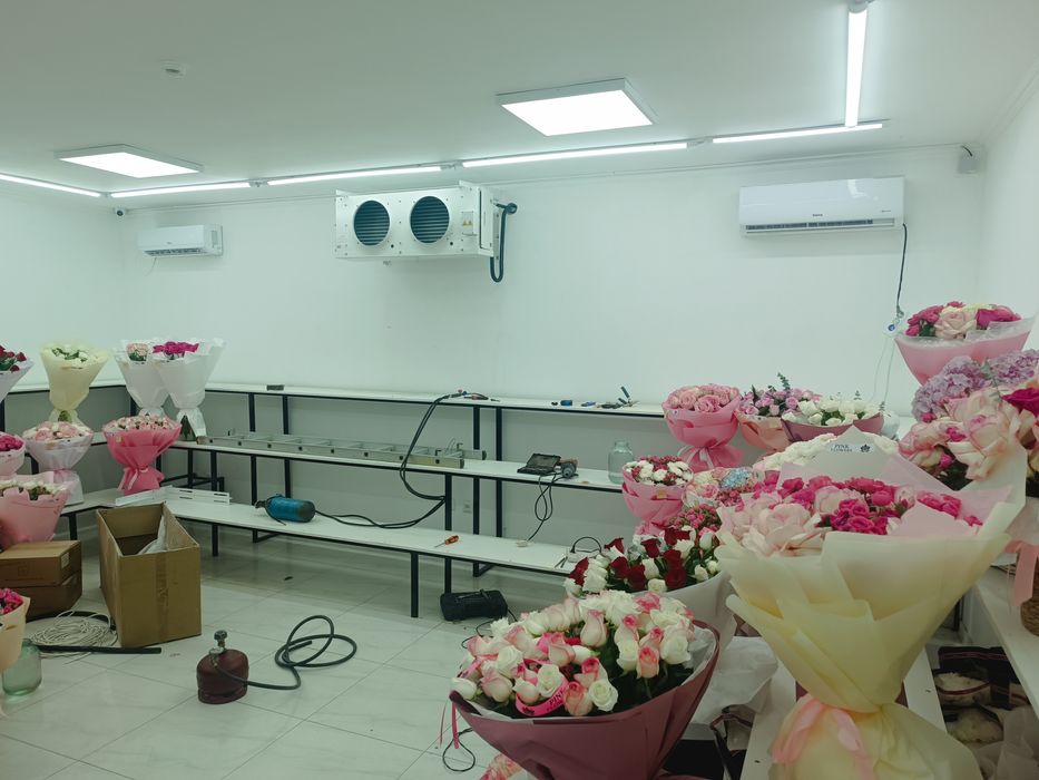 Холодильные камеры