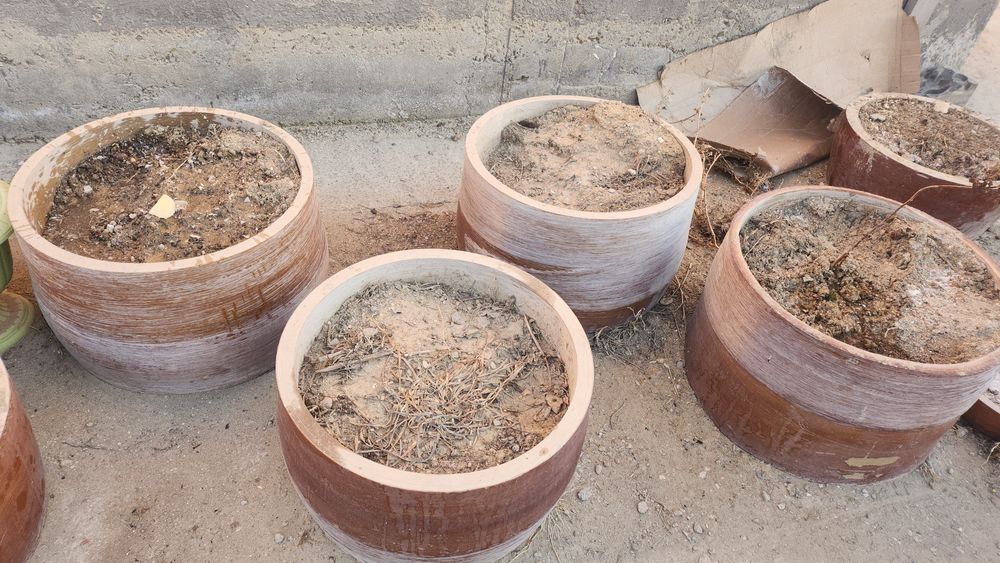 Отдам клумбы для цветов