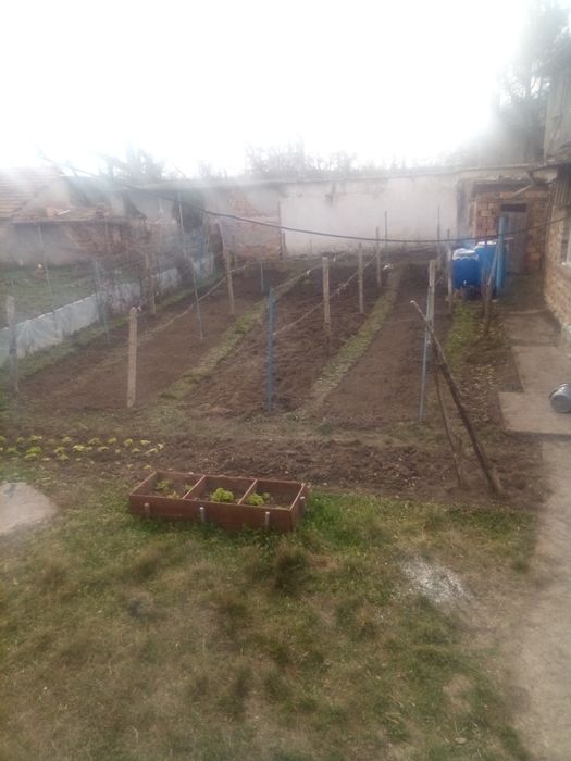 Продава се Къща в с. Телиш, Област Плевен - 81 кв.м за 202 €/кв.м - Снимка #16