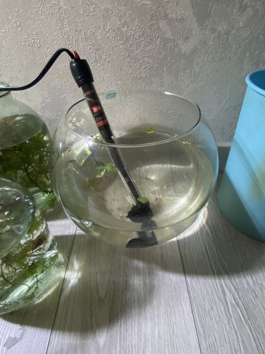 Аквариум круглый с