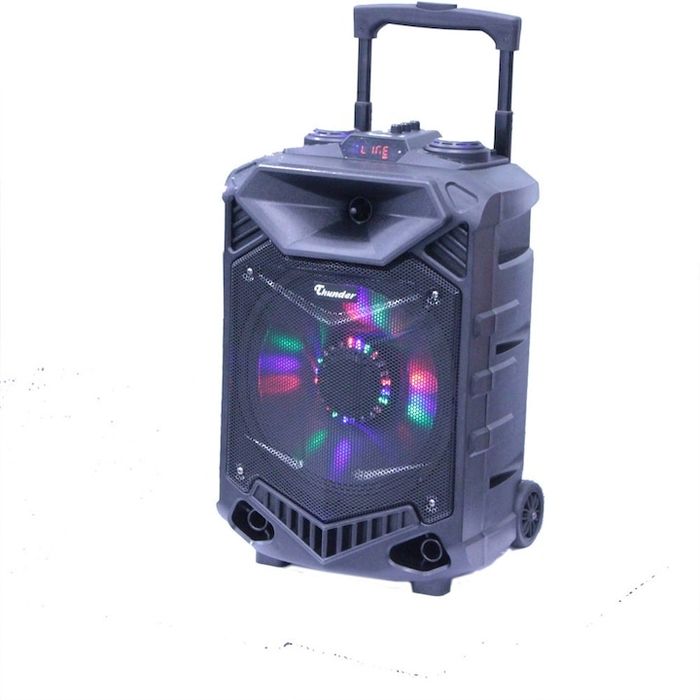 Караоке тонколона Thunder THS-B1201BTW; Bluetooth, FM радио, USB, SD c