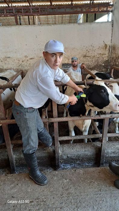 Qishloq xoʻjaligi hayvonlarini pirafilaktika qilish va davolash .