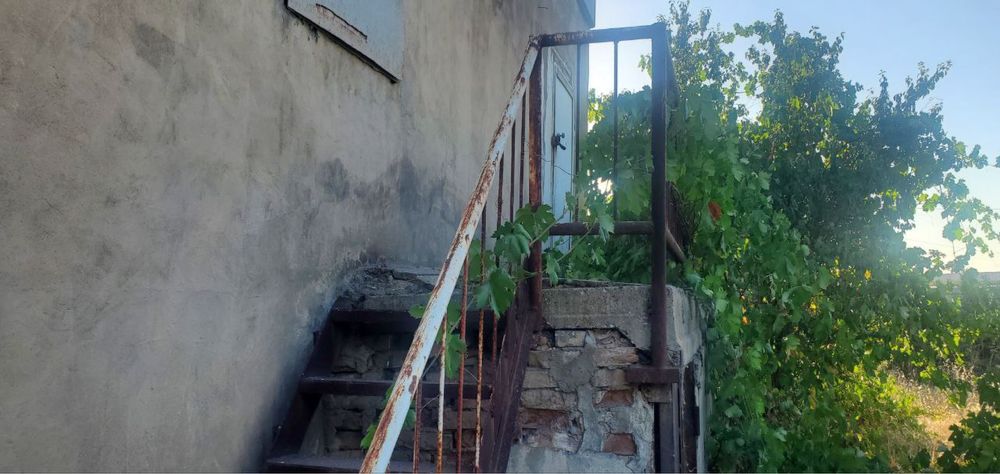 Дала ховли, Кибрай тумани, Чирчик дарё якинида