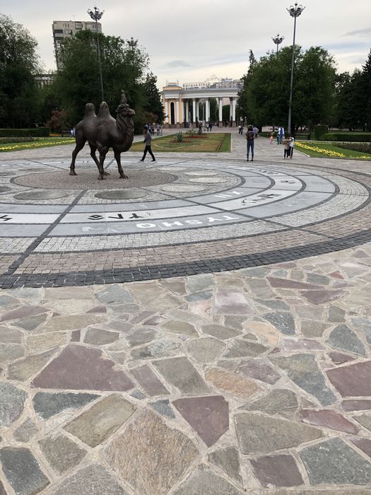 Плитняк коричневого цвета