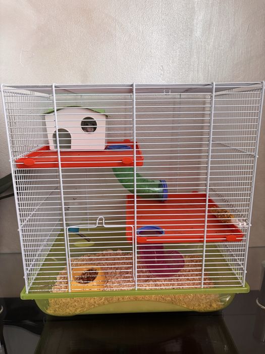 Hamster + cusca