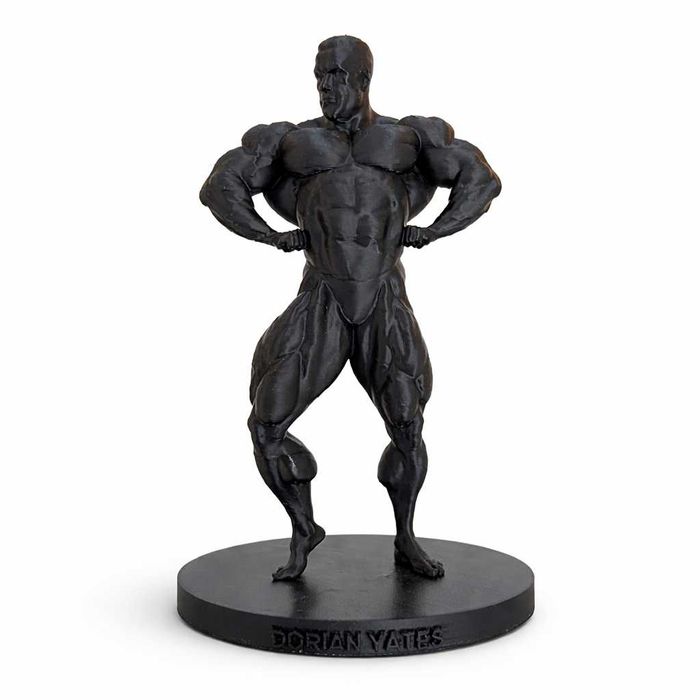 Mr.Olympia Arnold, Lee Haney, Dorian Yates, Ronnie Coleman, Jay Cutler