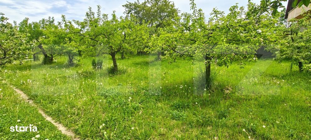 Teren intravilan 600 mp - Calea Moldovei| Ideal pentru constructia cas