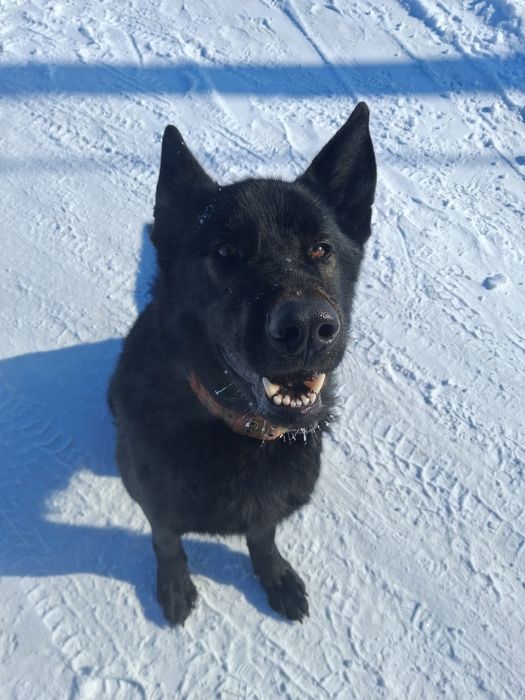 В.е.о.Кабель.Вязка.