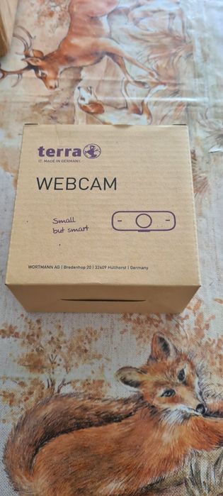 Web camera Terra