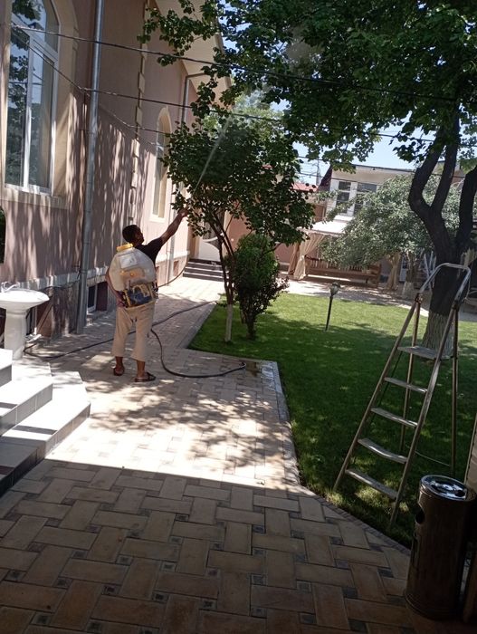 Archa kesish dorilash xizmati