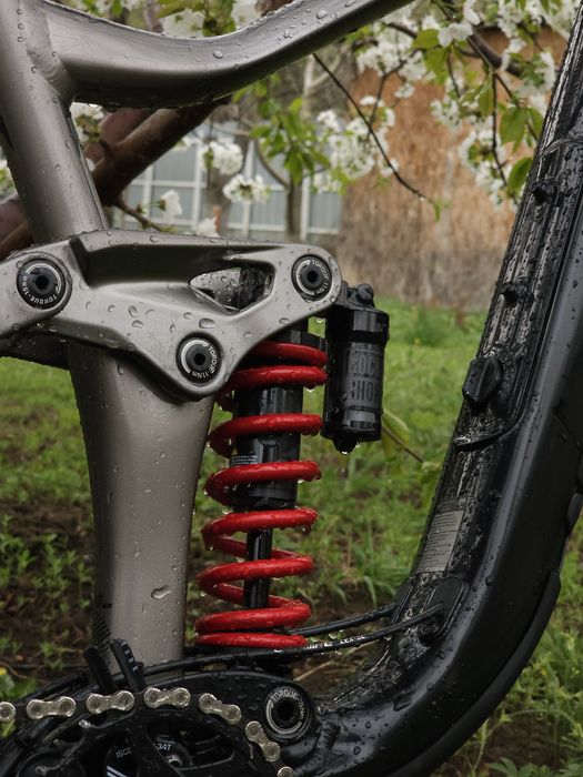 Giant Reign 2/2023 M