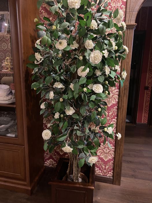 Декоративное дерево