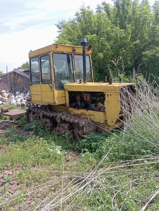 Продам ДТ 75 гусеничный