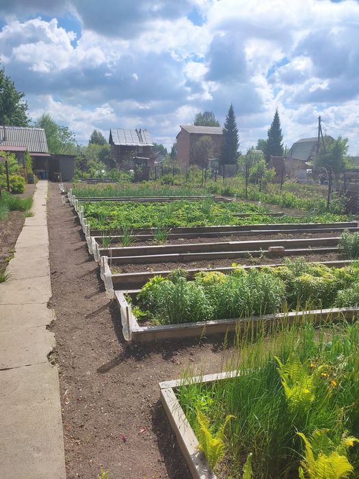 Продам дачу Колос 6 соток