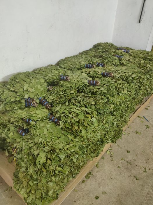 Веники берёза дуб пихта ТОЛЬКО ОПТОП !!!