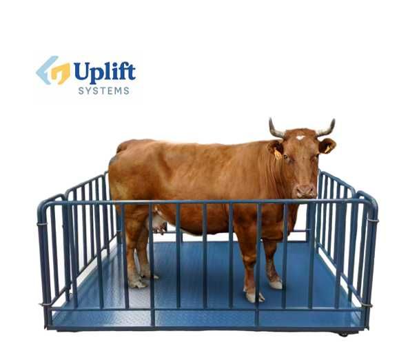 Подъёмник. Стационарный подъемник для погрузки и разгрузки животных.