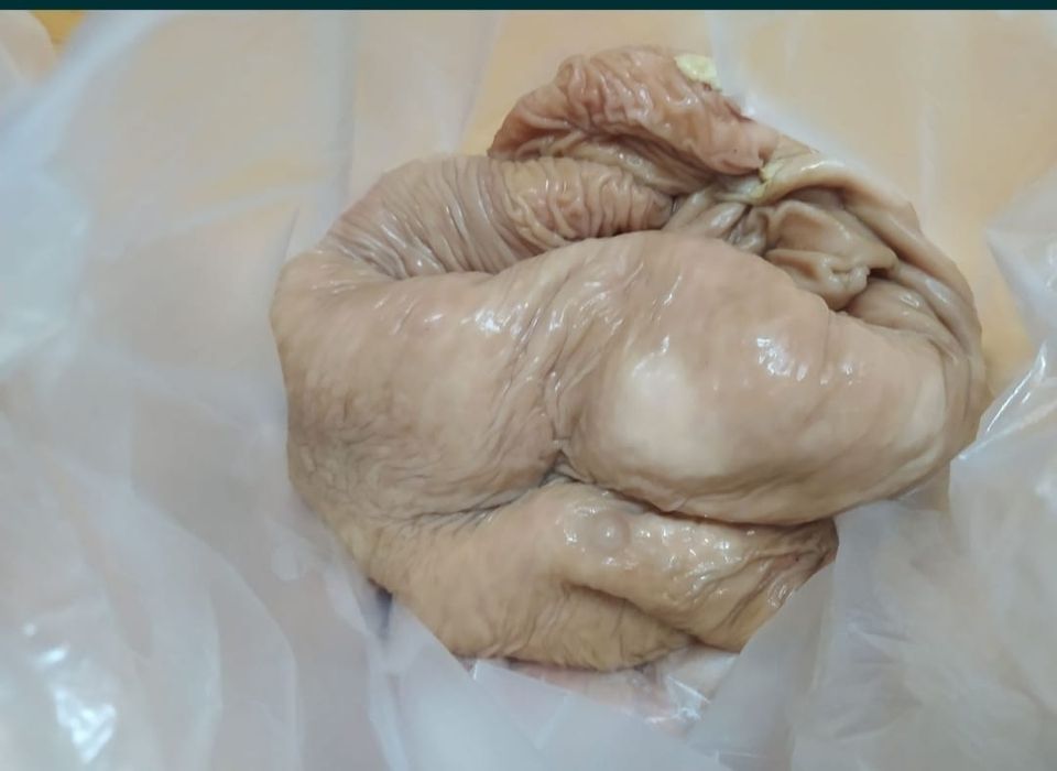 Продам карын свежий