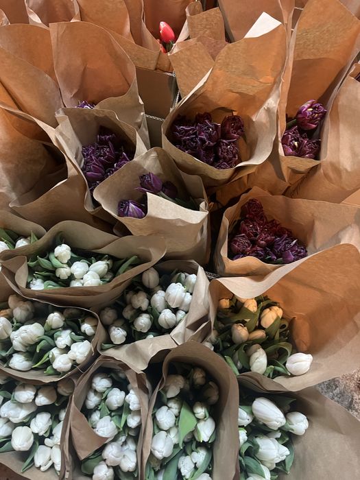 Тюльпаны опт 50-60см