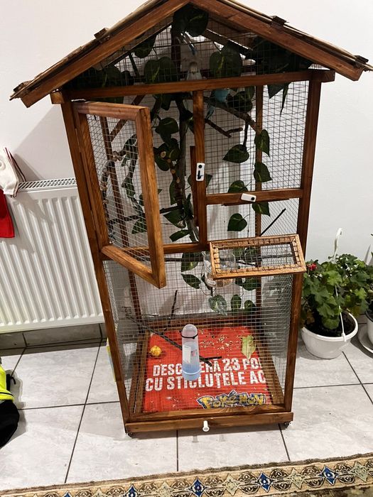 Custi rustice peruși  , micul Alexandru etc