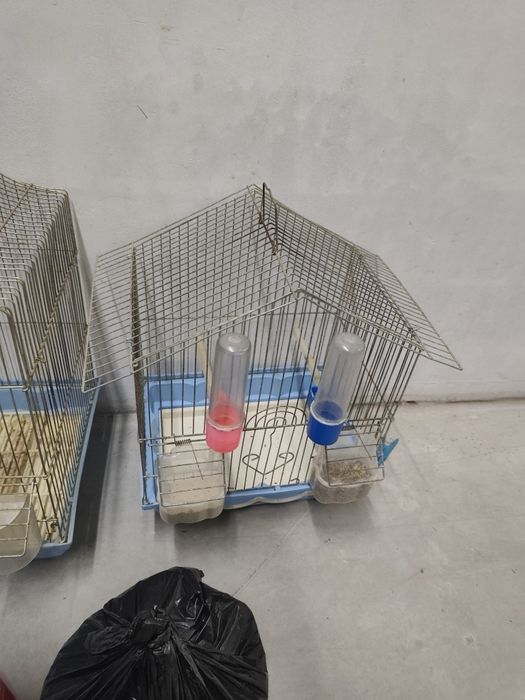 Канарче и 3бр. клетки