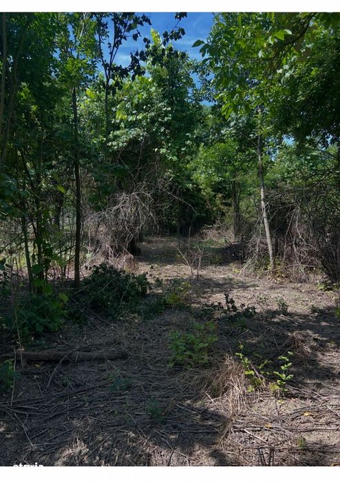Teren de vânzare în zona Bascov , 1844mp