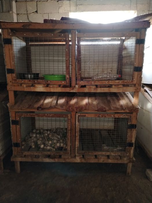 Куен катаклар сотилади