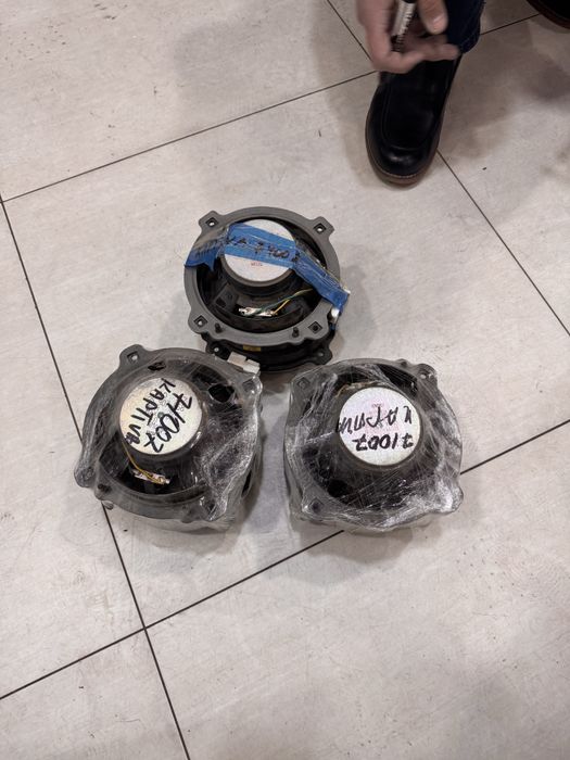 Captiva kalonka  arginal.