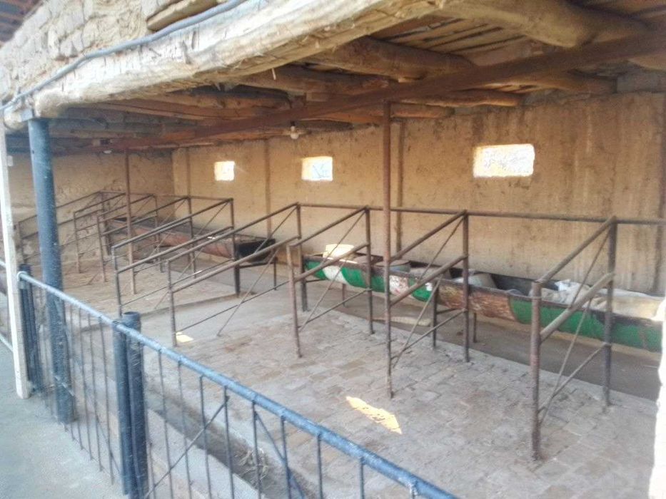 Янгийўл тумани Стаханов махалласи М39 га 1 километр уйсотилади