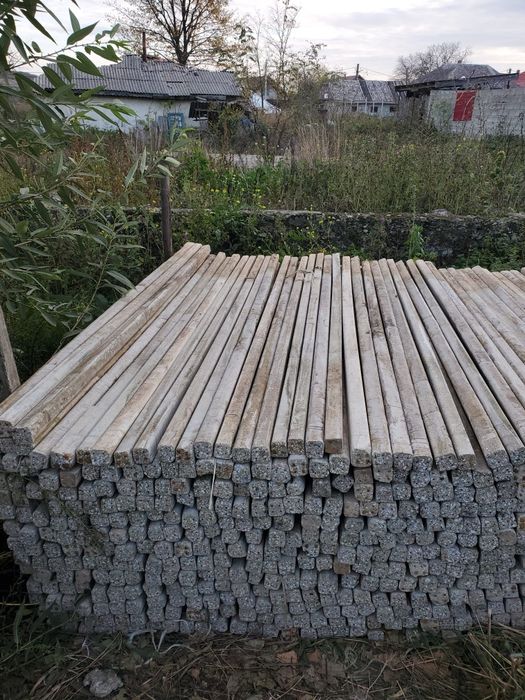 Vand spalieri , pari de beton Italia