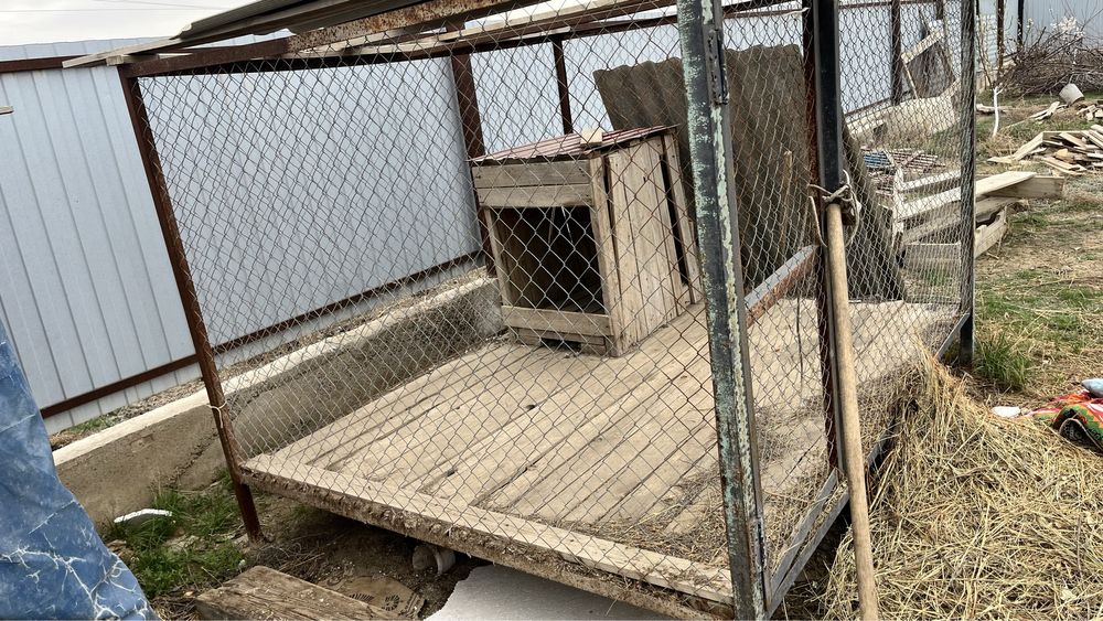 Волера жаксы күйде