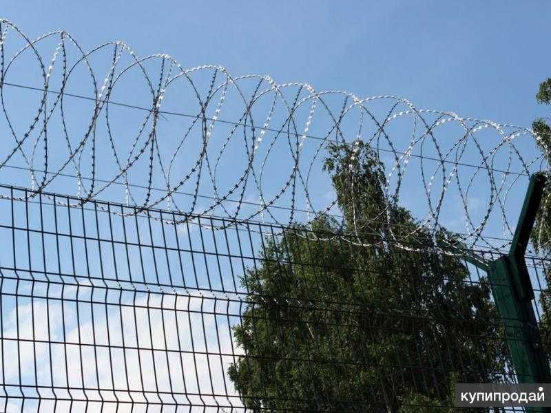 Egoza (tikanli sim) – hududni ishonchli himoya qilish uchun