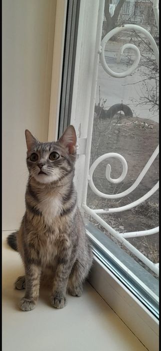 В ответственные руки