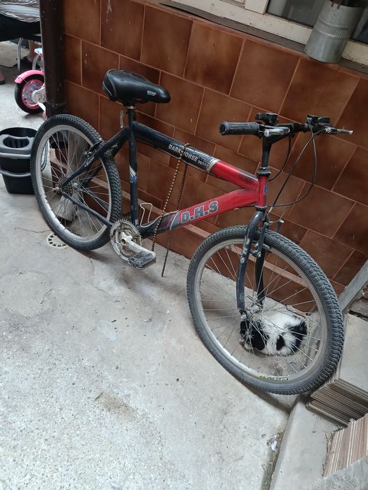 Bicicleta 100 lei